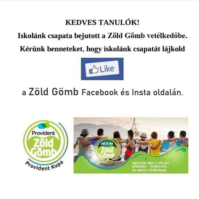 Iskolánk csapata bekerült a TV2 Zöld Gömb vetélkedőbe.