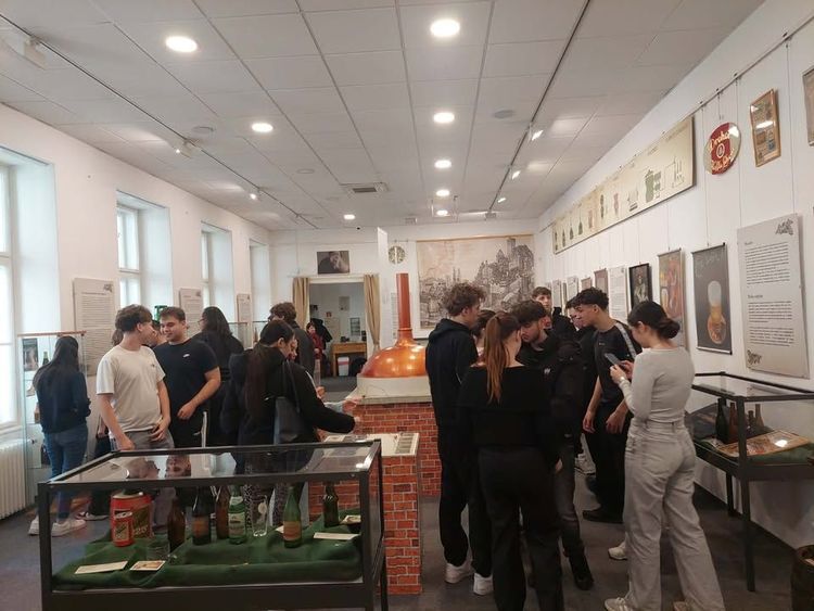 Damjanich múzeumlátogatás.